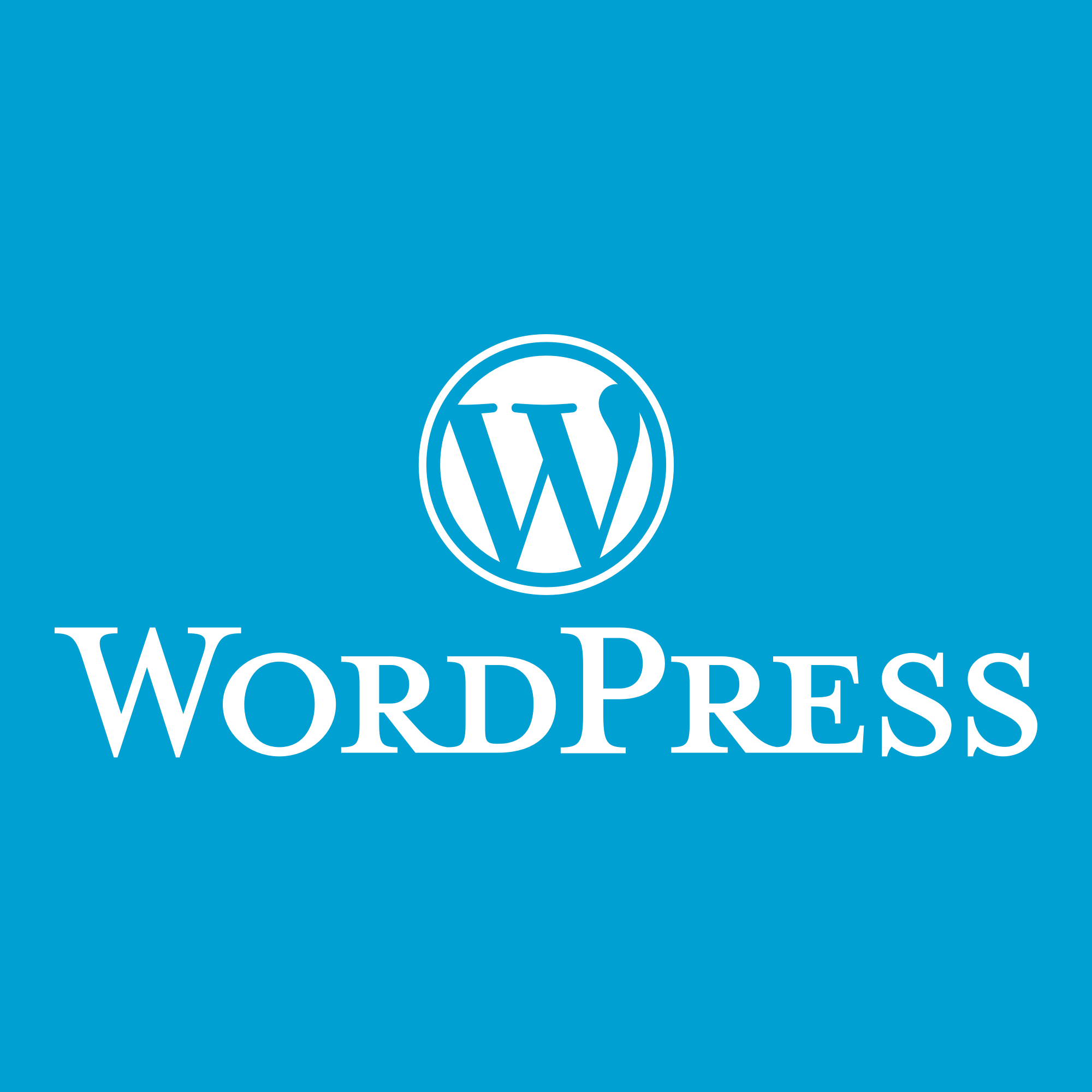 WordPress 安装指南